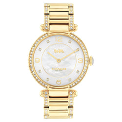 Coach Cary Gold Steel with Crystals Silver Dial Women's Watch - 14503832