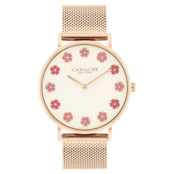 Coach Rose Gold Steel Mesh Chalk Dial Women's Watch - 14504101